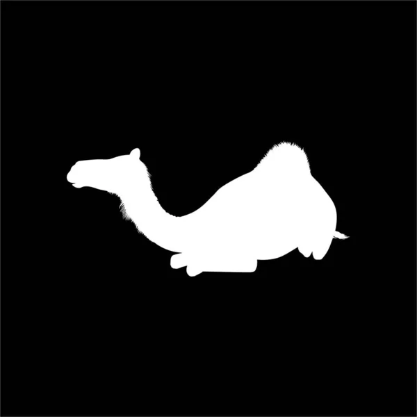 Kamelsilhouette Sitzend Für Logo Oder Grafisches Gestaltungselement Vektorillustration — Stockvektor