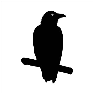 Logo ya da Grafik Tasarım Elementi için Karga Silueti. Vektör İllüstrasyonu