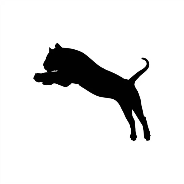 Silueta Salto Tigre Familia Big Cat Para Logotipo Elemento Diseño — Vector de stock