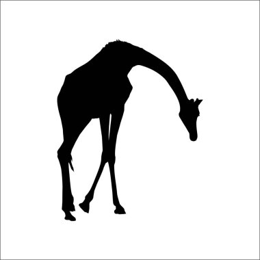 Logo için zürafa silueti ya da grafik tasarım elementi. Vektör İllüstrasyonu