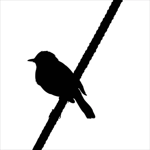 Oiseau Debout Sur Silhouette Fil Électrique Illustration Basée Sur Photographie — Image vectorielle