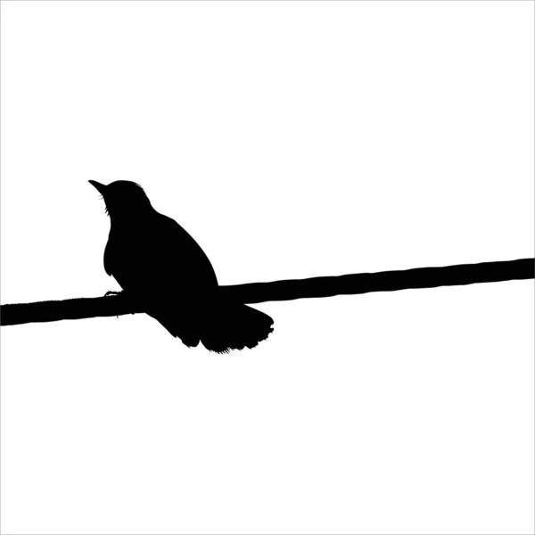 Pájaro Pie Silueta Alambre Eléctrico Ilustración Basada Fotografía Ilustración Vectorial — Vector de stock