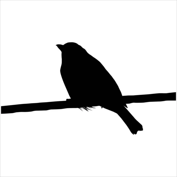 私の写真を基にした電気ワイヤーシルエットのイラストに鳥を立っています ベクターイラスト — ストックベクタ