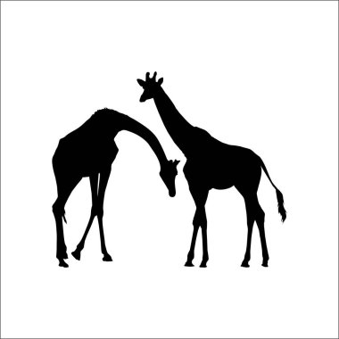 Logo ya da Grafik Tasarım Elementi için bir çift zürafa silueti. Vektör İllüstrasyonu