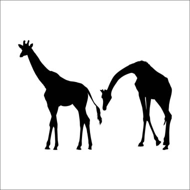 Logo ya da Grafik Tasarım Elementi için bir çift zürafa silueti. Vektör İllüstrasyonu