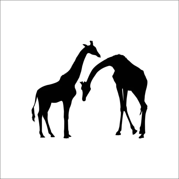 Para Sylwetki Żyrafy Logo Lub Element Graficzny Ilustracja Wektora — Wektor stockowy