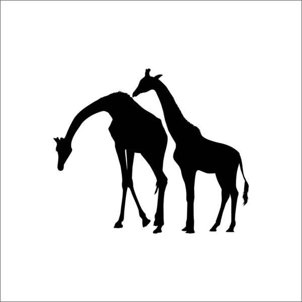 Pair Giraffe Silhouette Logo Graphic Design Element Vector Illustration — Stock Vector