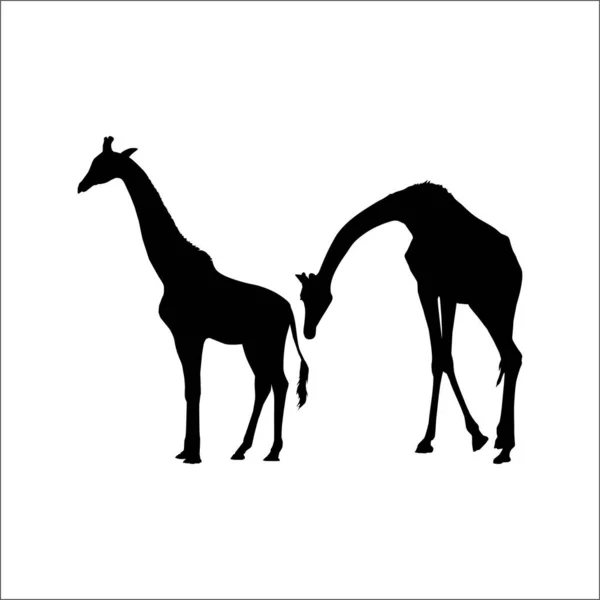 Pair Giraffe Silhouette Logo Graphic Design Element Vector Illustration — Stock Vector