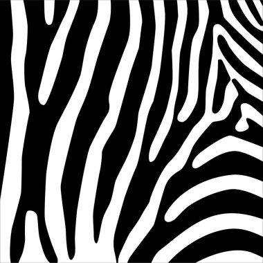 Zebra Motifleri Düzeni. Hayvan Baskısı Serisi. Vektör İllüstrasyonu