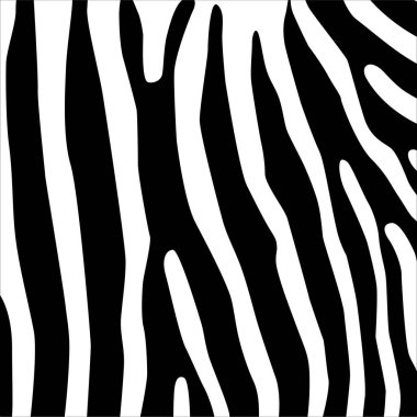 Zebra Motifleri Düzeni. Hayvan Baskısı Serisi. Vektör İllüstrasyonu