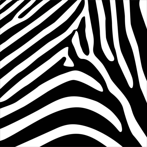 Zebra Motifleri Düzeni Hayvan Baskısı Serisi Vektör Llüstrasyonu — Stok Vektör
