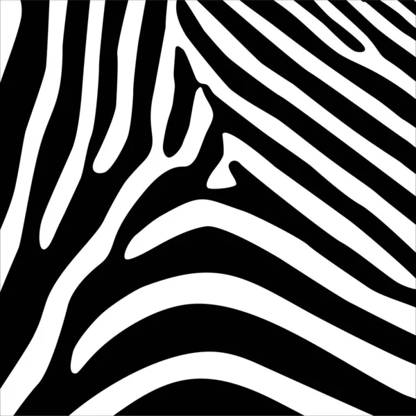 Patrón Motivos Cebra Serie Animal Print Ilustración Vectorial — Vector de stock