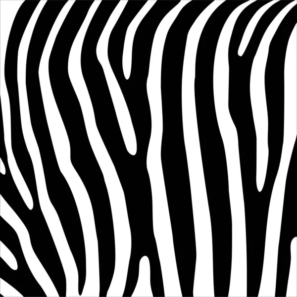 Padrão Motivos Zebra Série Animal Print Ilustração Vetorial — Vetor de Stock