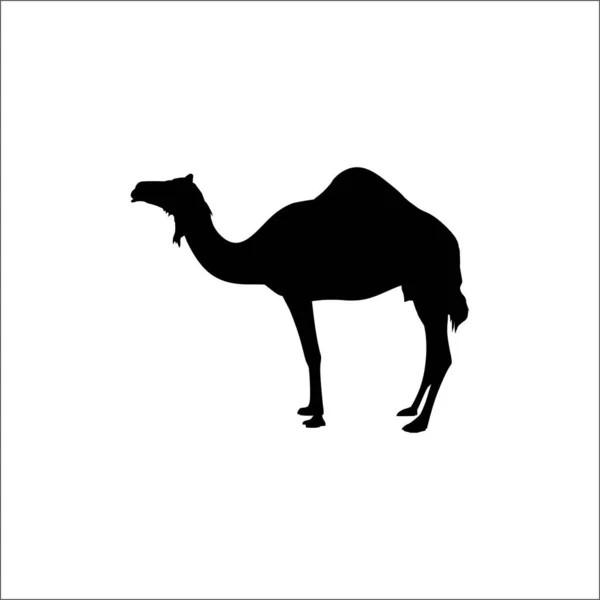 Silhueta Camelo Para Logotipo Elemento Design Gráfico Ilustração Vetorial — Vetor de Stock
