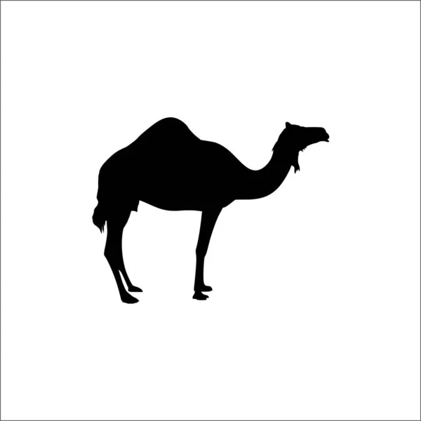Silueta Camel Para Logo Elemento Diseño Gráfico Ilustración Vectorial — Archivo Imágenes Vectoriales