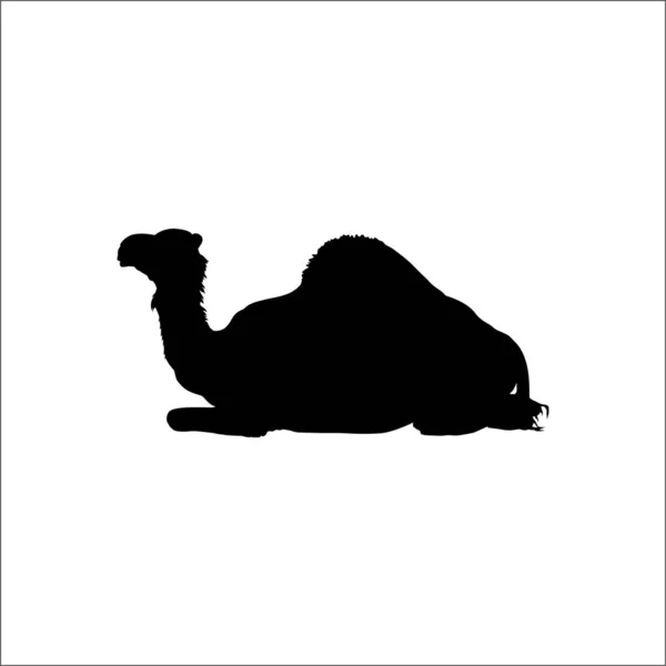 Silueta Camello Sentada Para Logotipo Elemento Diseño Gráfico Ilustración Vectorial — Vector de stock