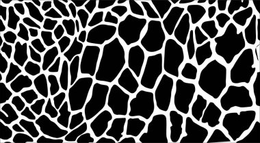 Siyah ve Beyaz Zürafa Motifleri. Hayvan Baskısı Serisi. Vektör İllüstrasyonu