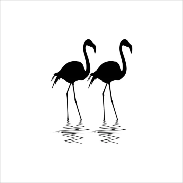 Egy Flamingó Pár Vízi Sziluetten Vektorillusztráció — Stock Vector
