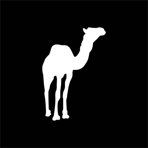 Silueta Camel Para Logo Elemento Diseño Gráfico Ilustración Vectorial — Vector de stock