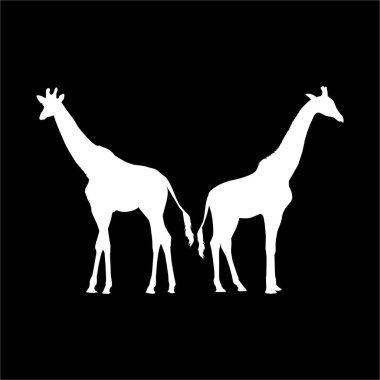 Logo ya da Grafik Tasarım Elementi için bir çift zürafa silueti. Vektör İllüstrasyonu