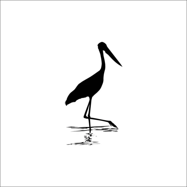 Stork Water Bird Ciconiidae 실루엣 사기적 — 스톡 벡터
