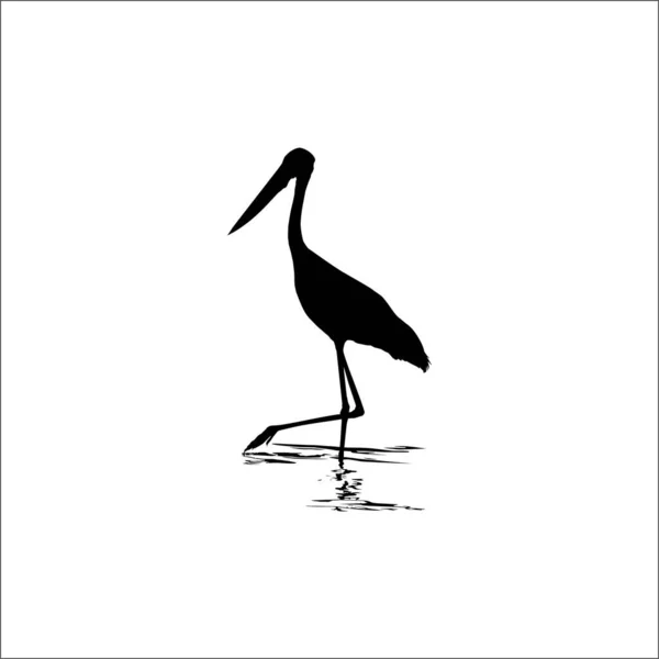 Stork Water Bird Ciconiidae Silhouette Inglés Ilustración Vectorial — Vector de stock