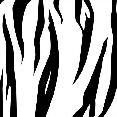 Siyah-Beyaz 'da Tiger Motifleri. Hayvan Baskısı Serisi. Vektör İllüstrasyonu