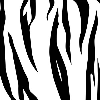 Siyah-Beyaz 'da Tiger Motifleri. Hayvan Baskısı Serisi. Vektör İllüstrasyonu