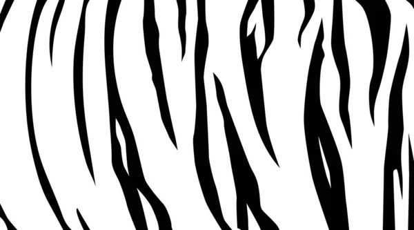 Patrón Motivos Tigre Blanco Negro Animal Print Series Ilustración Vectorial — Vector de stock