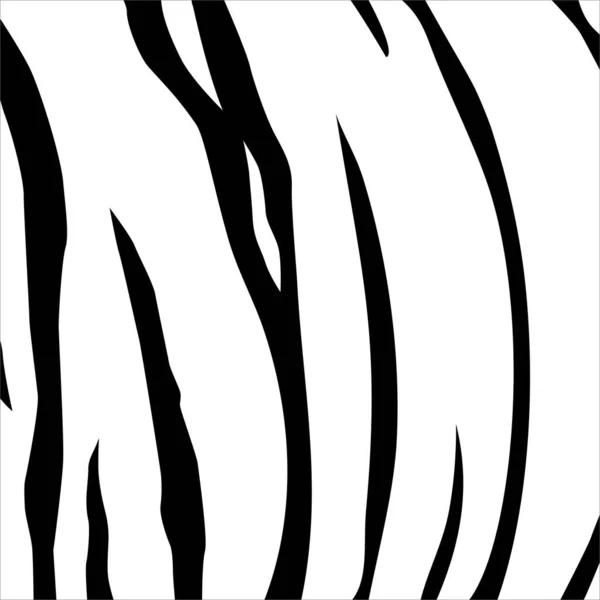 Patrón Motivos Tigre Blanco Negro Animal Print Series Ilustración Vectorial — Vector de stock
