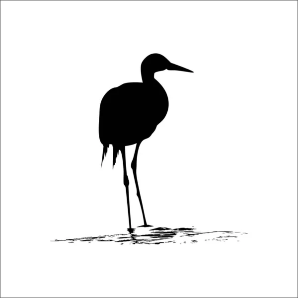 Storch Auf Dem Wasser Bird Ciconidae Silhouette Vektorillustration — Stockvektor