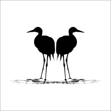 Sudaki Leylek Çifti (Bird-Ciconiidae) Silhouette. Vektör İllüstrasyonu
