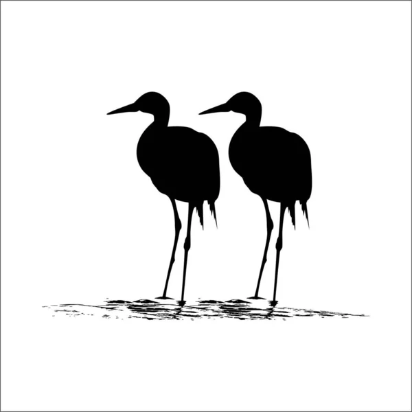 Par Cigüeñas Agua Bird Ciconiidae Silhouette Ilustración Vectorial — Vector de stock
