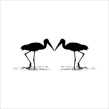 Sudaki Leylek Çifti (Bird-Ciconiidae) Silhouette. Vektör İllüstrasyonu