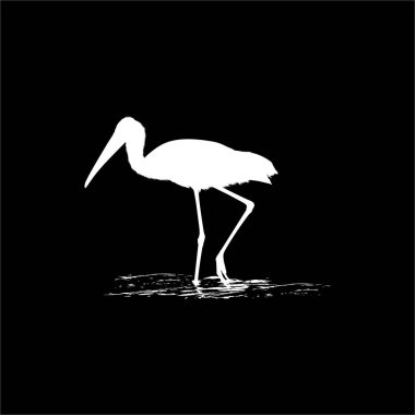 Sudaki Leylek (Kuş-Çikonidae) Silueti. Vektör İllüstrasyonu