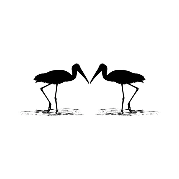 Par Cegonha Água Bird Ciconiidae Silhouette Ilustração Vetorial —  Vetores de Stock