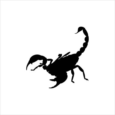 Logo veya Grafik Tasarım Elementi için Scorpio Silhouette. Vektör İllüstrasyonu
