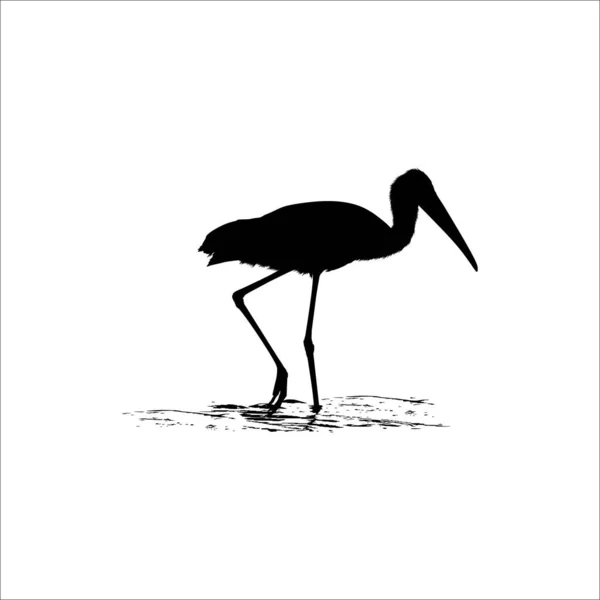 Stork Vattnet Bird Ciconiidae Silhuett Vektor Illustration — Stock vektor