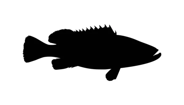 Groupers Fish Silhouette Para Ícone Símbolo Pictograma Logo Elemento Design — Vetor de Stock