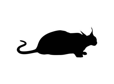 Logo, Piktogram, Web Sitesi veya Grafik Tasarım Elementi için Karakter Kedisi Silueti. Vektör İllüstrasyonu