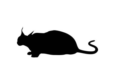Logo, Piktogram, Web Sitesi veya Grafik Tasarım Elementi için Karakter Kedisi Silueti. Vektör İllüstrasyonu