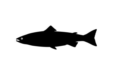 Simge, Sembol, Logo, Pictogram, Apps, Web sitesi veya Grafik Tasarım Elemanı için Somon Balığı Silueti. Vektör İllüstrasyonu