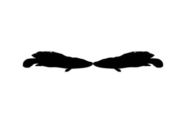 Yılan Başlı Balık (tatlı su perciform balık familyası Channidae) Logo, Pictogram veya Grafik Tasarım Elementi için siluet. Vektör İllüstrasyonu 