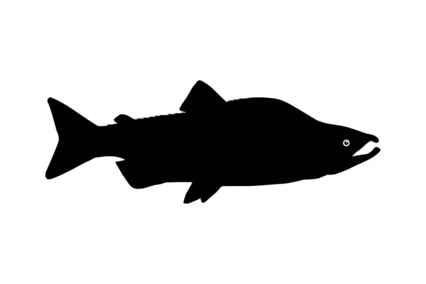 用于图标 象形文字 应用程序 网站或图形设计元素的鲑鱼鱼轮廓 病媒图解 — 图库矢量图片
