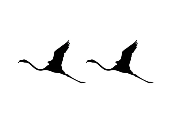 Flying Flamingo Sziluett Ikon Szimbólum Logó Művészeti Illusztráció Piktogram Weboldal — Stock Vector