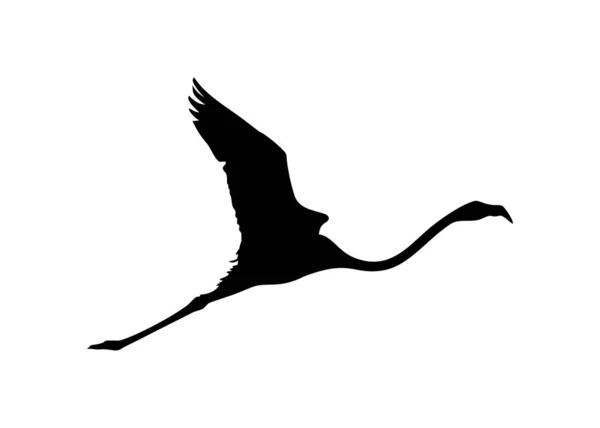 Силуэт Фламинго Иконы Символа Логотипа Художественной Иллюстрации Пиктограммы Веб Сайта — стоковый вектор