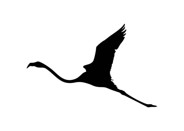 Flying Flamingo Silhouette Icon Symbol Logo Art Illustration Pictogram Website — стоковий вектор