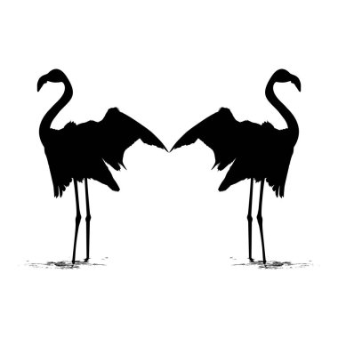 Icon, Symbol, Logo, Art Illustration, Pictogram, Website veya Grafik Tasarım Elemanı için Dans Eden Flamingo Silhouette çifti. Vektör İllüstrasyonu