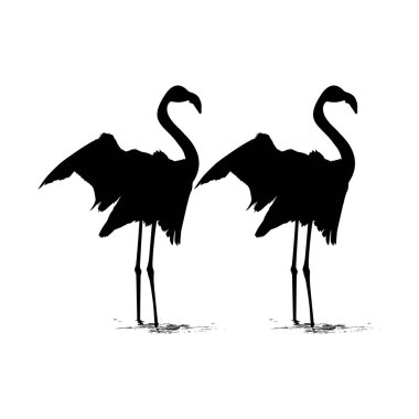 Icon, Symbol, Logo, Art Illustration, Pictogram, Website veya Grafik Tasarım Elemanı için Dans Eden Flamingo Silhouette çifti. Vektör İllüstrasyonu