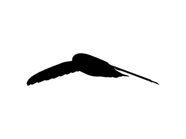 Flying Swallow Bird Silhouette Για Λογότυπο Εικονόγραμμα Ιστοσελίδα Art Illustration — Διανυσματικό Αρχείο